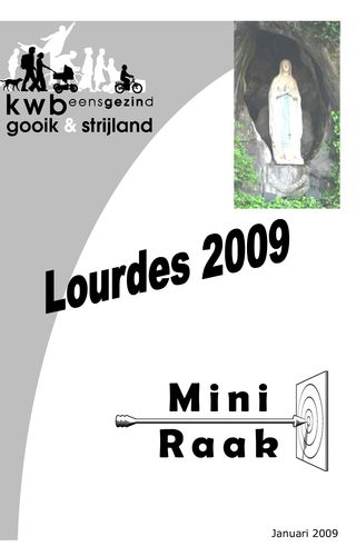 Kaft van Mini Raak 200901